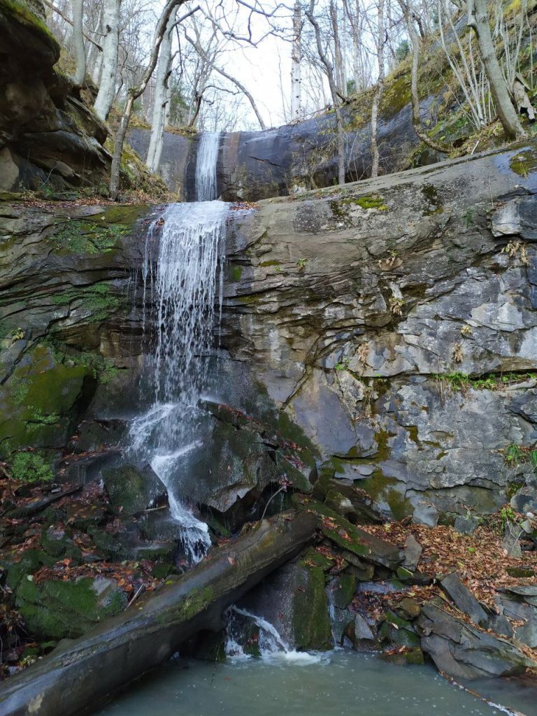 IZ2KzhRP_0o.jpg