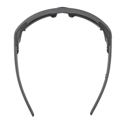 Купить Очки Alpina Skywalsh Q Midnight-Grey Matt/Blue Mirror Cat.4 Fogstop в Иваново