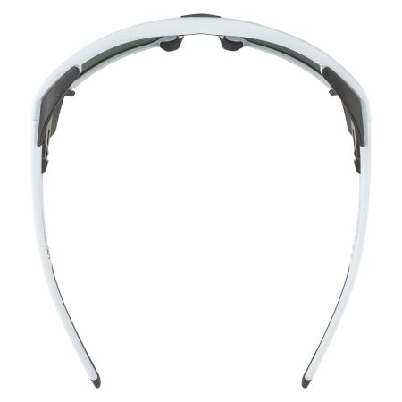 Купить Очки Alpina Skywalsh Q Smoke-Grey Matt/Green Mirror Cat.4 Fogstop в Иваново