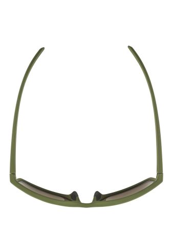 Купить Очки Alpina Nacan I Olive Matt/Bronce Mirror Cat.3 в Иваново