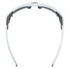 Купить Очки Alpina Skywalsh Q Smoke-Grey Matt/Green Mirror Cat.4 Fogstop в Иваново