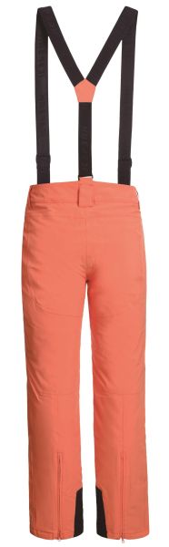 Брюки горнолыжные Icepeak 657038839IV 455 в Иваново