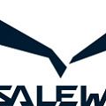  Каски SALEWA в Иваново  