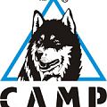 Купить в кошки camp Кошки CAMP в Иваново