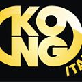  Карабины KONG в Иваново  