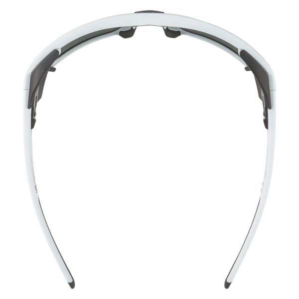 Купить очки alpina skywalsh q smoke-grey matt/green mirror cat.4 fogstop в Иваново