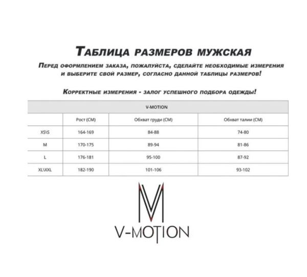 Термобельё V-MOTION Base мужской серебристый в Иваново
